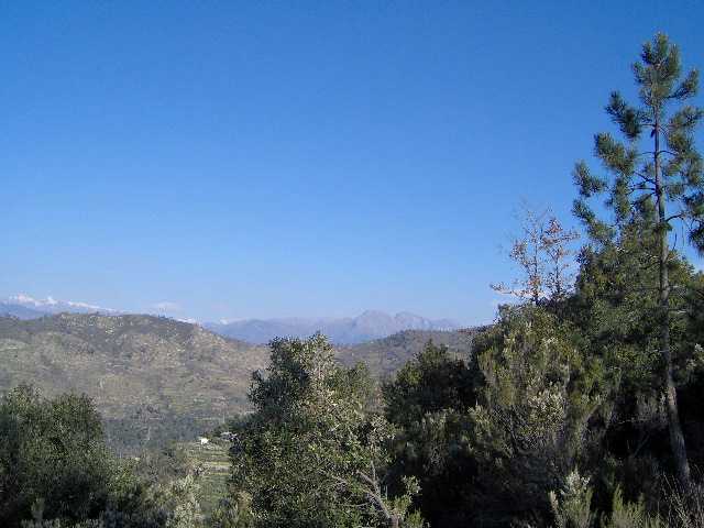 sentieri 005