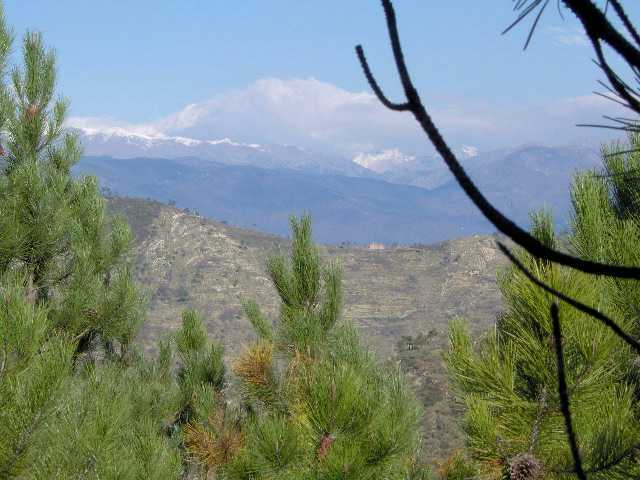 sentieri 008