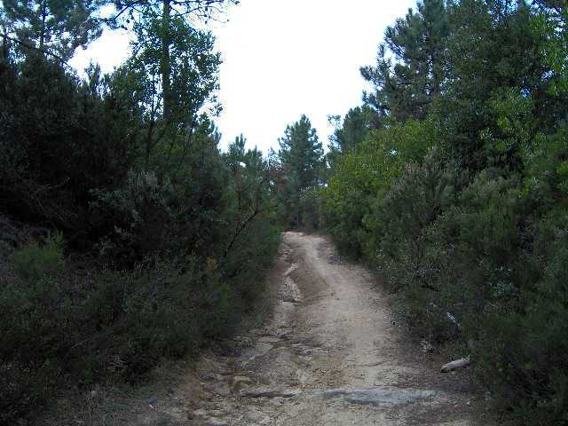 sentieri 014