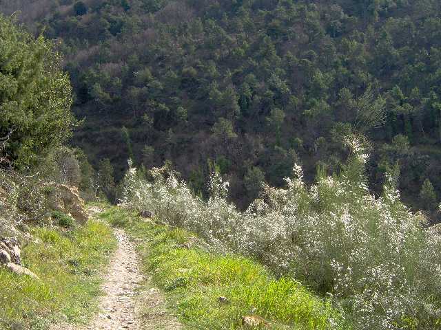 sentieri 018