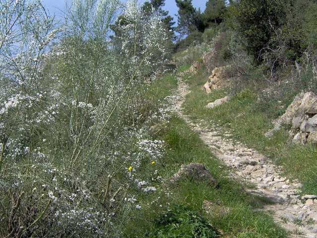 sentieri 020